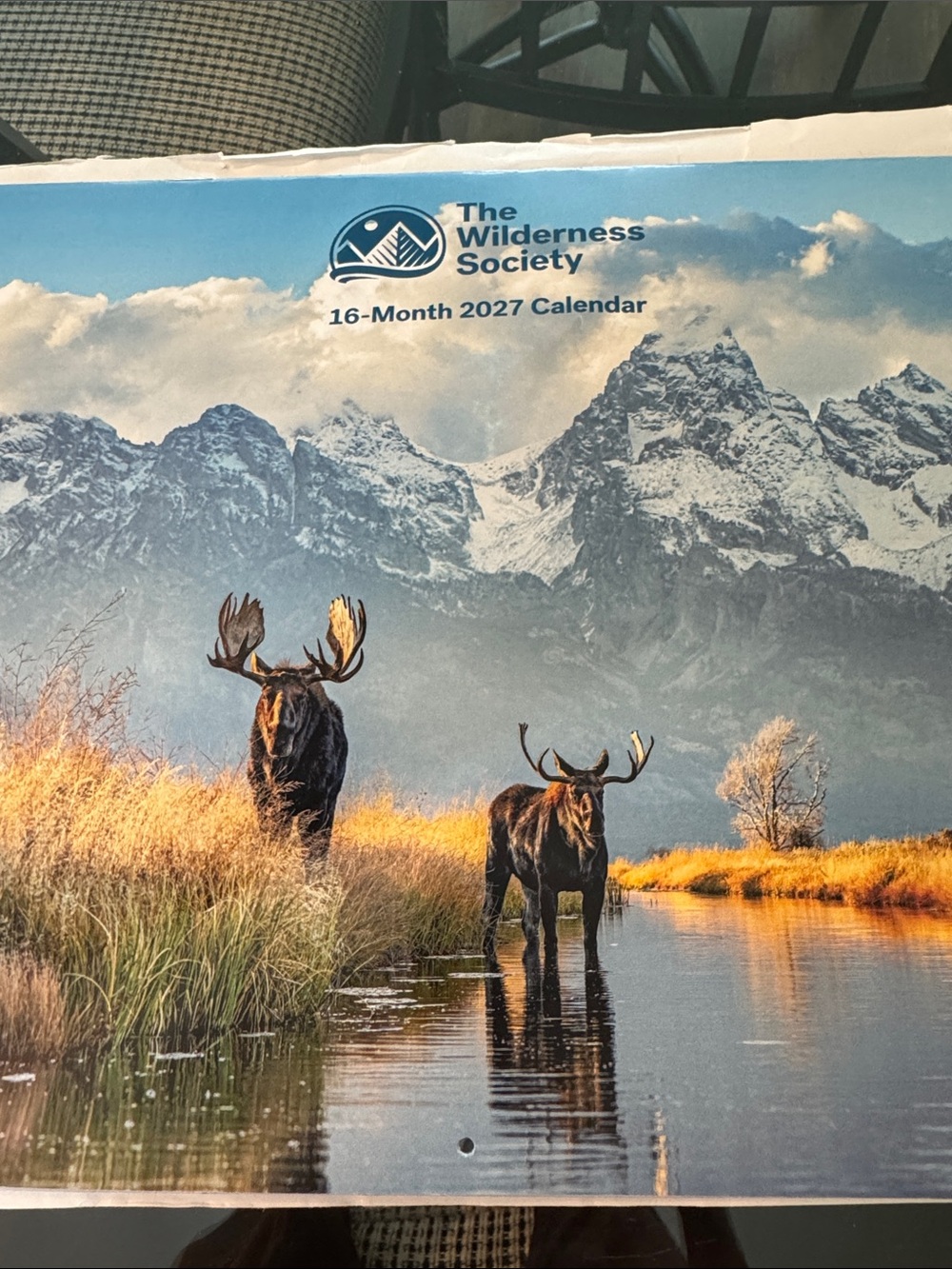 2027 16-Month Wall Calendar - Moose Scenic (Blue/White/Brown)